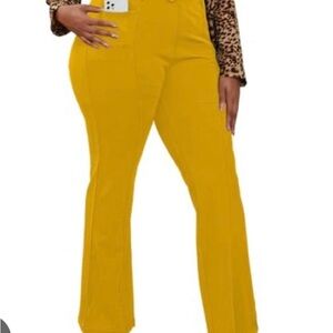 DGD Women's wrinkle free Yellow Pants